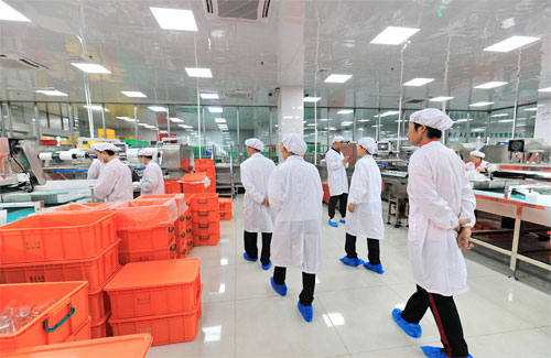 東莞市衛生局領導蒞臨精品伦精品一区二区三区视频蜜桃餐潔參觀指導！